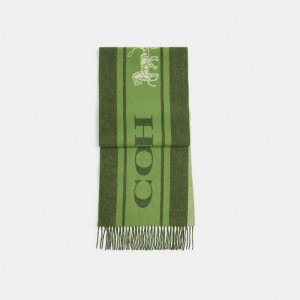 Bufanda COACH® Varsity Sport Cashmere Muffler Hombre Verde | COVRF805