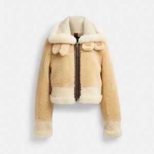 Chaqueta COACH® All Over Shearling Shrunken Aviator Mujer Creme Multicolor | COJPM655