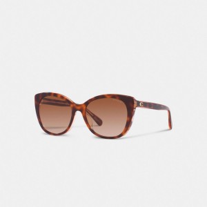 Lentes de Sol COACH® Beveled Signature Oversized Cat Eye Mujer Rosas | COTCX407