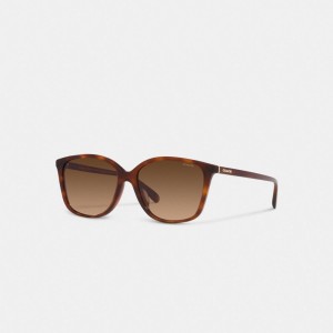 Lentes de Sol COACH® Embedded Wire Square Mujer Marrones Negras | CODFD399