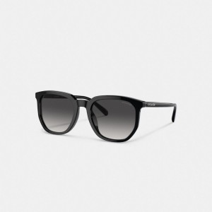 Lentes de Sol COACH® Geometric Square Hombre Negras | COMQP801