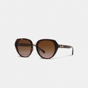 Lentes de Sol COACH® Horse And Carriage Oversized Round Mujer Marrones Negras | COKOI394