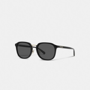 Lentes de Sol COACH® Rounded Geometric Mujer Negras | COCOW388