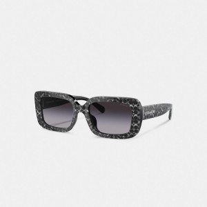 Lentes de Sol COACH® Signature Oversized Rectangle Mujer Plateadas | CONWQ387