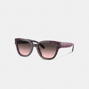 Lentes de Sol COACH® Signature Round Mujer Rosas | COMQM385