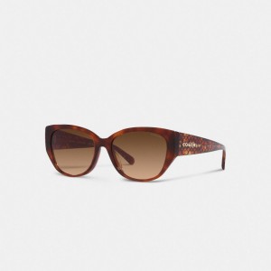 Lentes de Sol COACH® Signature Rounded Cat Eye Mujer Marrones | CONWN384