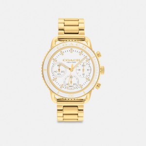 Reloj COACH® Cruiser, 37 Mm Mujer Doradas Blancas | COWNN465