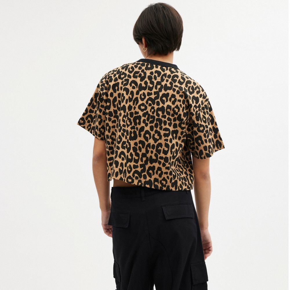 Camiseta COACH® Leopard Cursive Signature Cropped Mujer Leopardo | COAHE578