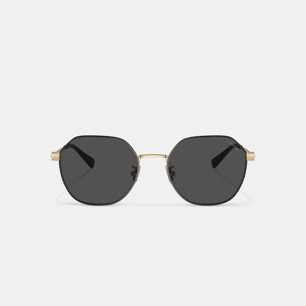 Lentes de Sol COACH® Hinged Geometric Round Hombre Doradas Negras | CONWO800