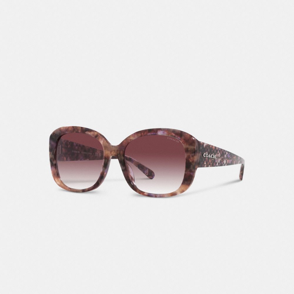 Lentes de Sol COACH® Signature Oversized Square Mujer Moradas | COMQM386