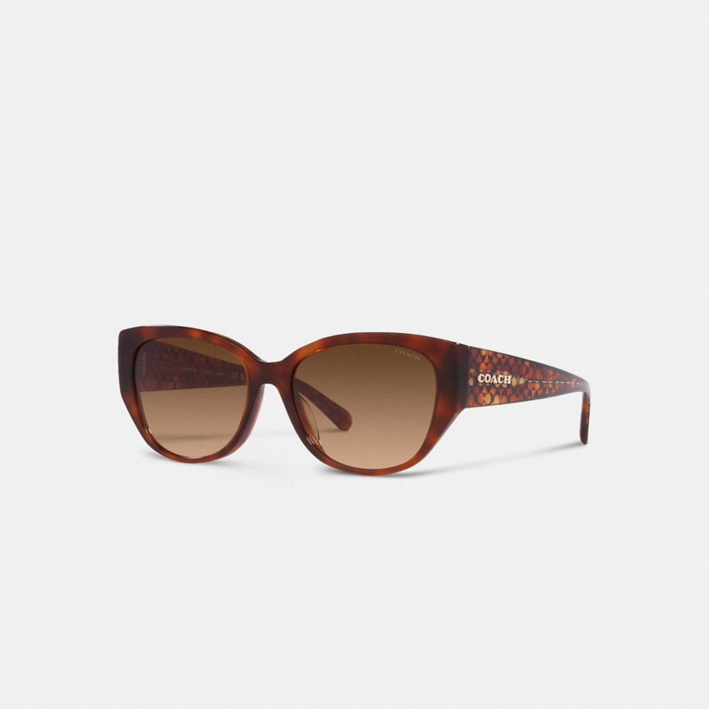 Lentes de Sol COACH® Signature Rounded Cat Eye Mujer Marrones | CONWN384