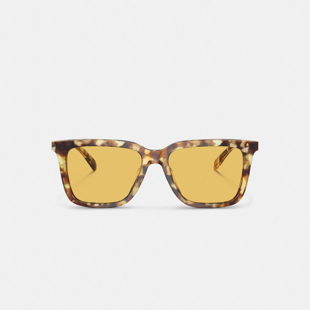 Lentes de Sol COACH® Signature Square Hombre Naranjas | COVRU798