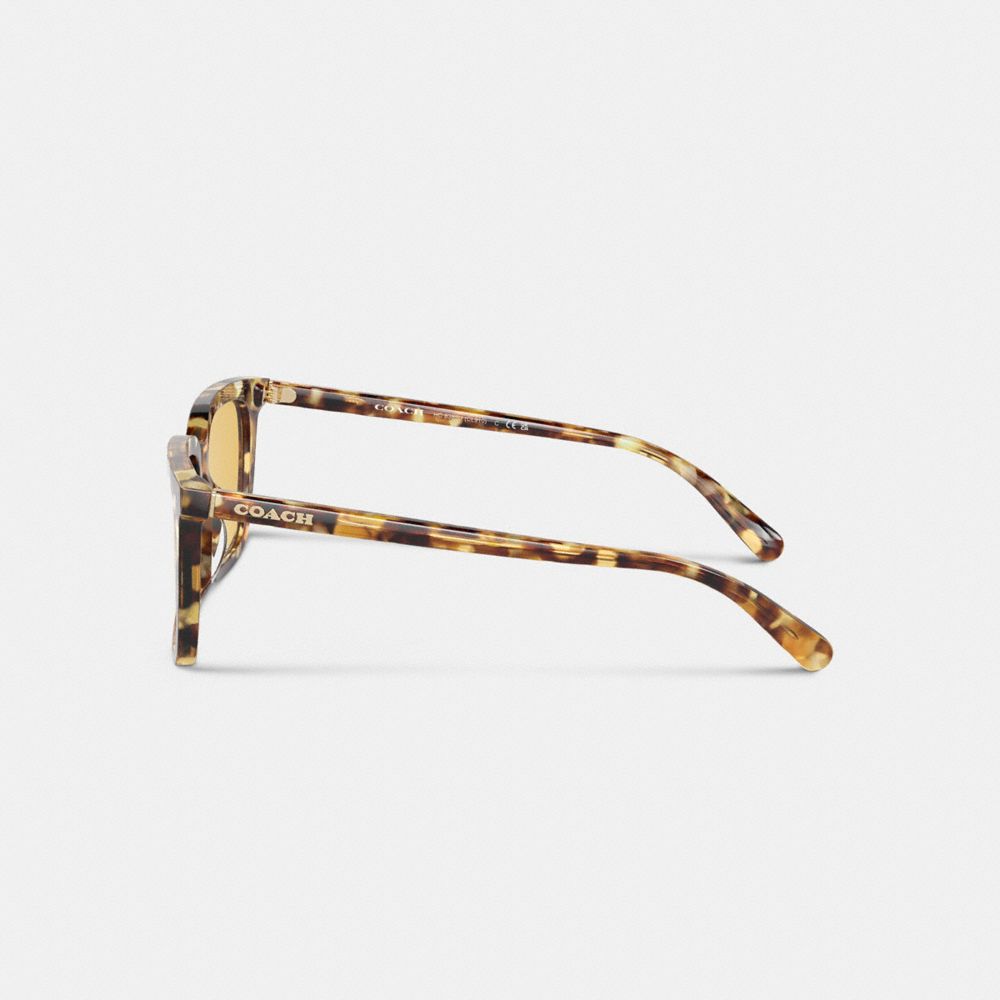 Lentes de Sol COACH® Signature Square Hombre Naranjas | COVRU798