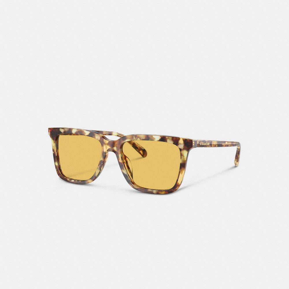 Lentes de Sol COACH® Signature Square Hombre Naranjas | COVRU798