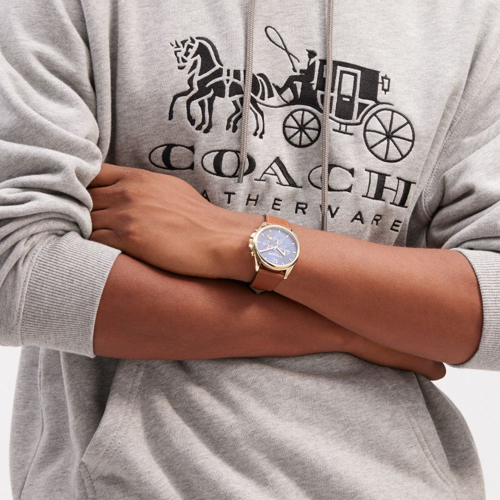 Reloj COACH® Greyson, 43 Mm Mujer Marrones | COEBX461