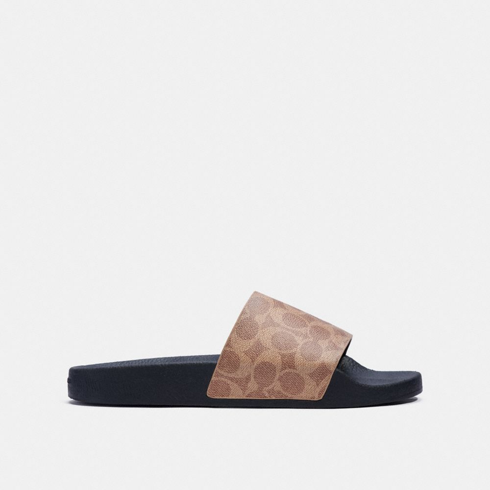 Sandalias COACH® Slide Hombre Marrones | COMQT958