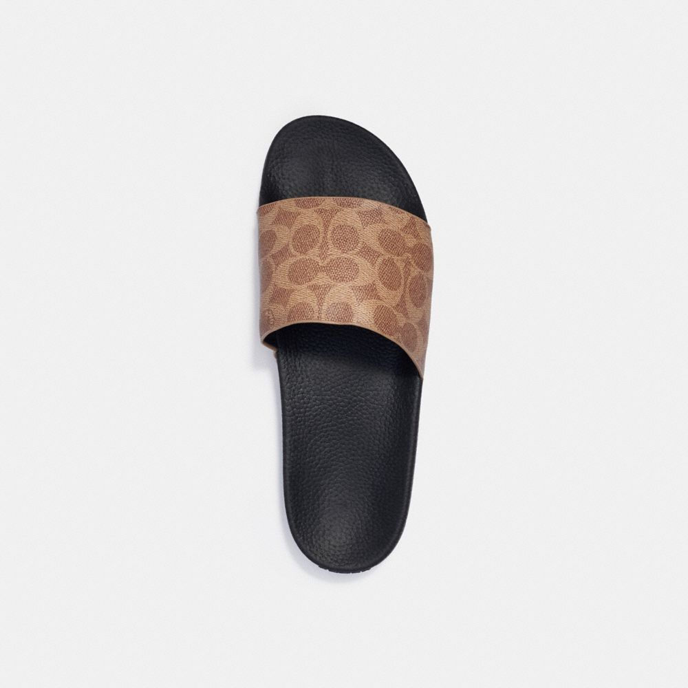 Sandalias COACH® Slide Hombre Marrones | COMQT958