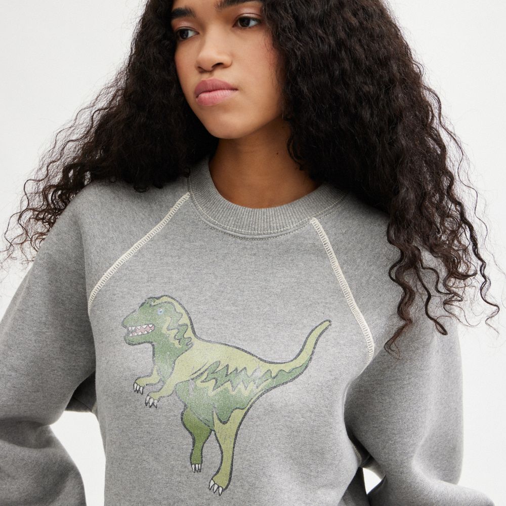 Sudadera COACH® Rexy Crewneck Mujer Gris | COCOH591