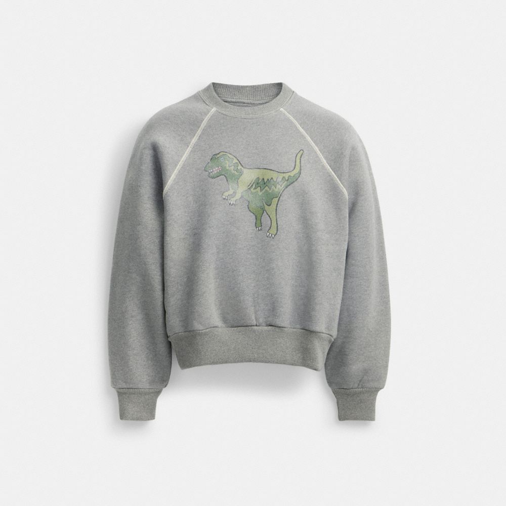 Sudadera COACH® Rexy Crewneck Mujer Gris | COCOH591